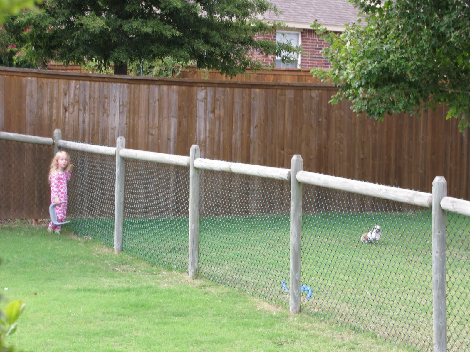 dog fence ideas