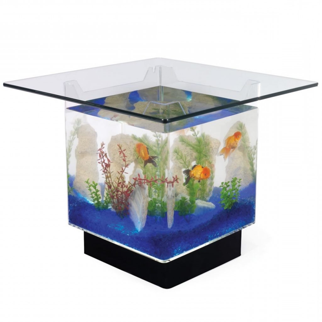 Fish Tank Coffee Table for Sale | Roy Home Design