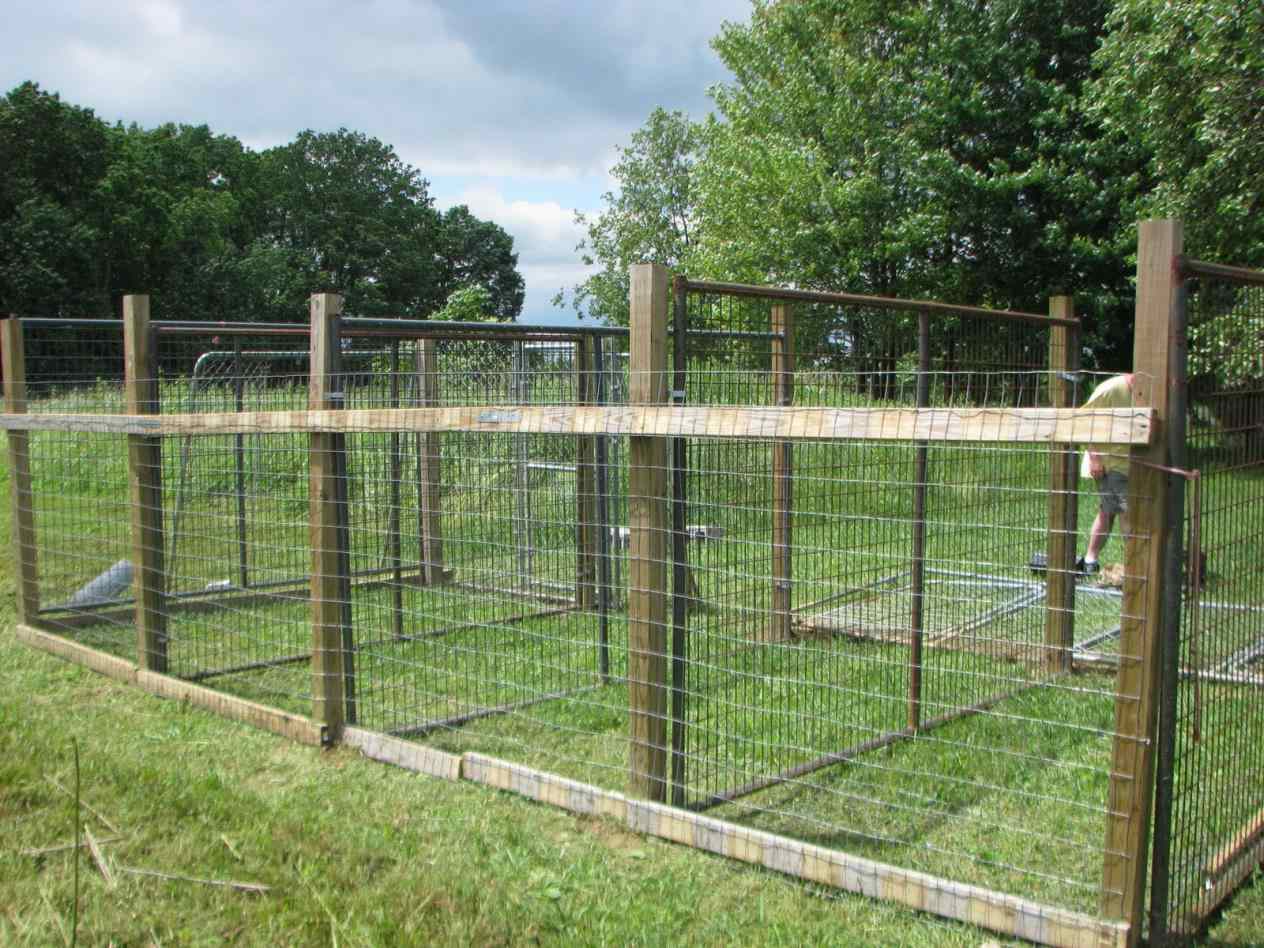 Outdoor Dog Fence Ideas