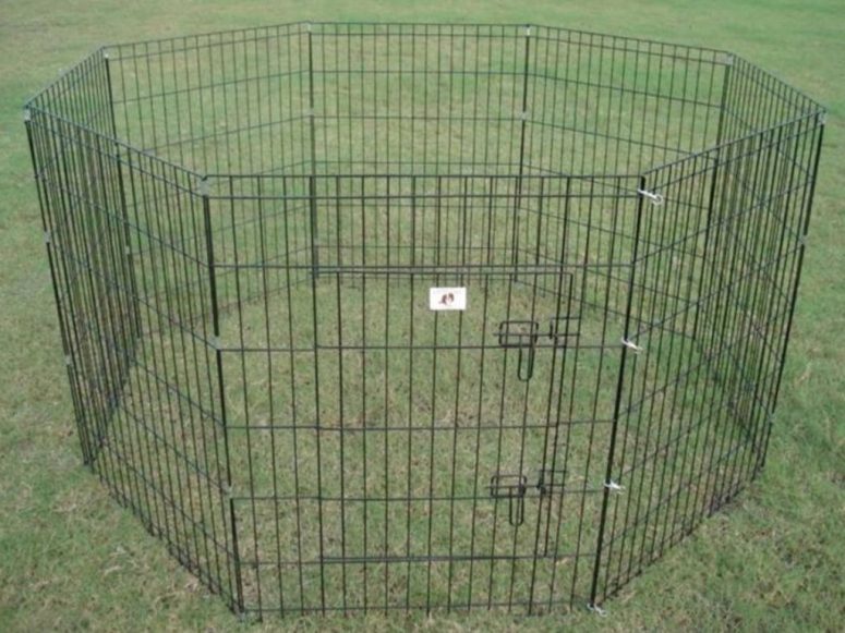 “Portable Fencing For Dogs And 5 Main Topics You Must Know” is locked ...