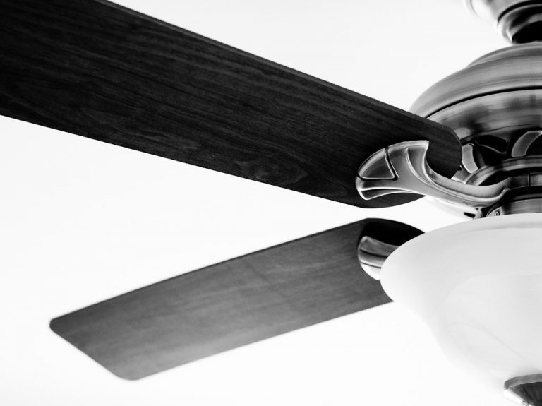 Tips and Tricks to Clean Ceiling Fan Blades You Should Know | Roy Home