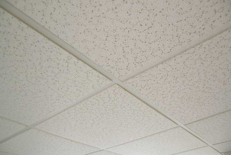 Work In Any Room, Here Are 5 Best Alternative Ceiling Materials