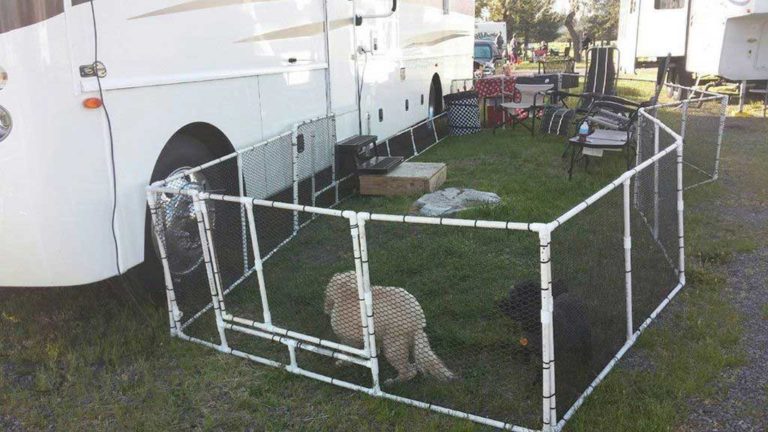 Easy Ways to Choose Temporary Pet Fence For Camping